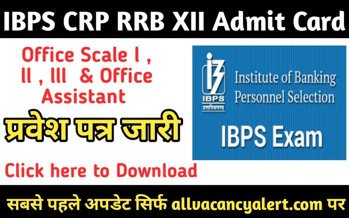 IBPS CRP RRB XII Recruitment 2023 Admit Card