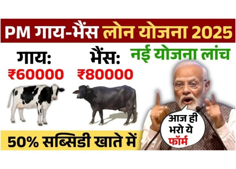 Pashupalan Loan Kaise Le